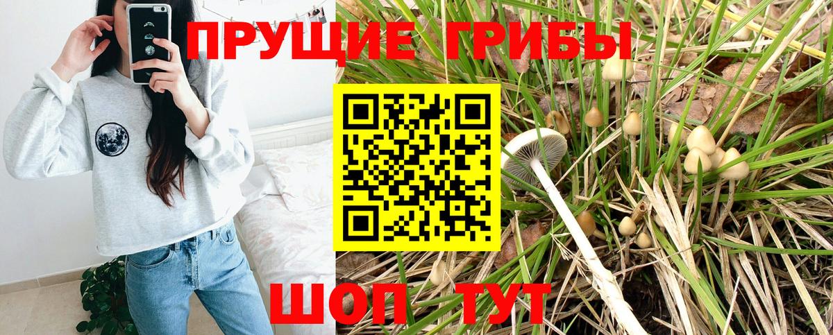 ГАШИШ Сланцы