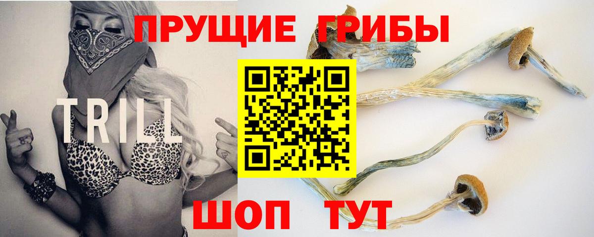 Галлюциногенные грибы мицелий  Вход с VPN  Сланцы 